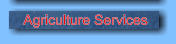 Agriculture Services