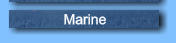 Marine