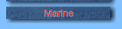Marine